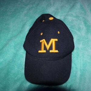 Mens Michigan Hat